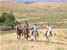 Horse riding in Argentina