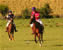 Horse riding in Argentina