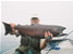 Fishing in Alaska