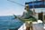 Fishing Safaris in Guatemala